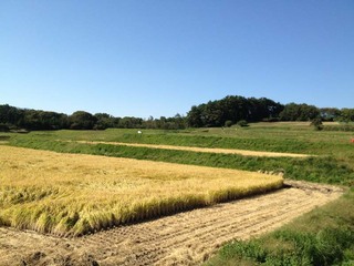 2013-10-13 14.00.06.jpg
