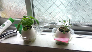 20130613_102853.jpg