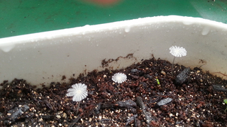 20130613_103008.jpg