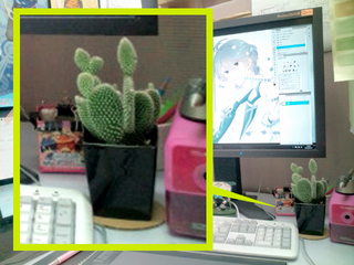 20130830135926_B.jpg