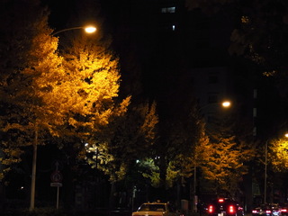 2013 F-1 394.jpg