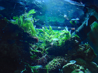 DSC00593_6.jpg