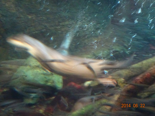 DSC00686.jpg