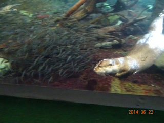 DSC00690.jpg