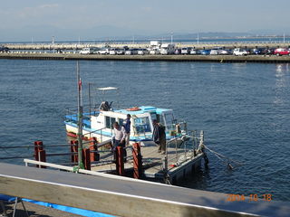 DSC01059.jpg