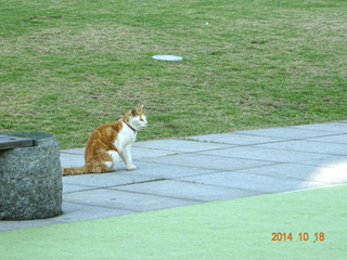 DSC01135.jpg