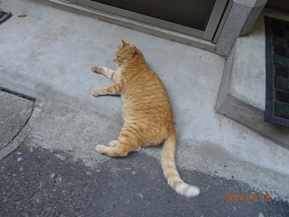 DSC01143.jpg