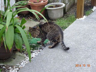 DSC01146.jpg