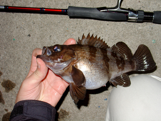 DSC08777.jpg