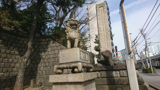 DSC_0037.jpg