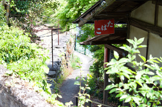 DSC_0080.jpg