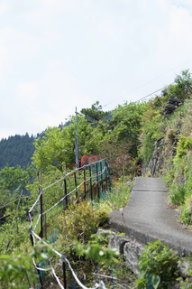 DSC_0098.jpg