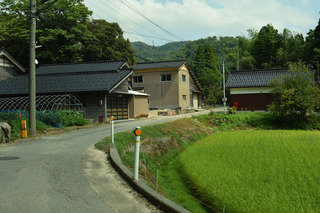 DSC_0204.jpg