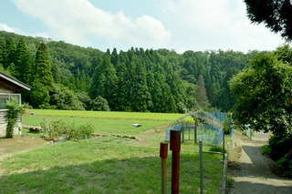 DSC_0280.jpg