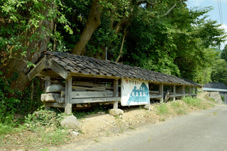 DSC_0301.jpg
