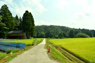 DSC_0361.jpg