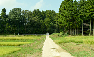 DSC_0391.jpg