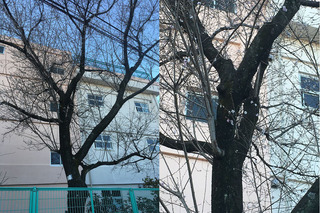 写真 2015-12-18 7 43 27.jpg