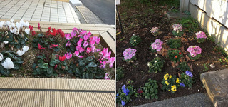 写真 2016-01-28 7 46 58.jpg