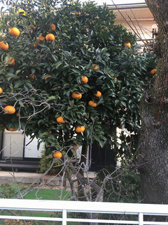 写真 2016-01-28 7 49 41.jpg
