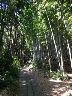 写真 2016-08-30 11 01 33.jpg