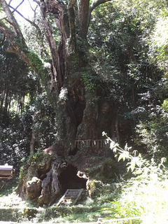 写真 2016-08-30 11 35 04.jpg