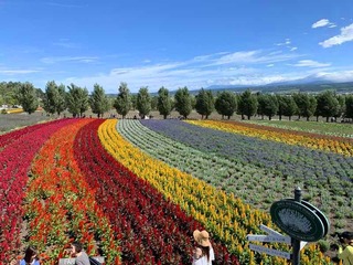 写真 2019-08-16 10 15 38.jpg