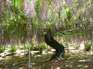 画像 004.jpg