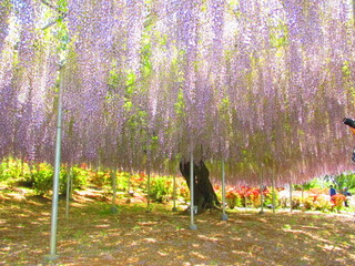 画像 011.jpg