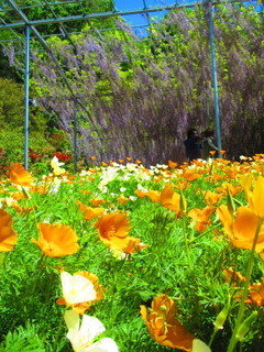 画像 067.jpg