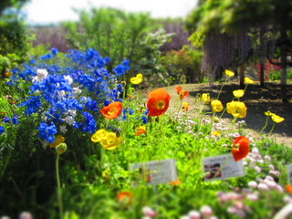 画像 070.jpg