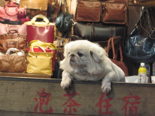 画像 1735.jpg