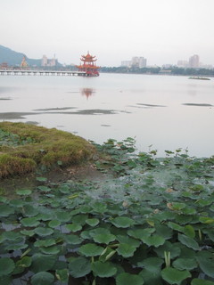 画像 1917.jpg
