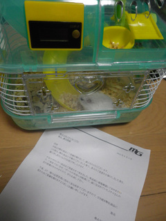 IMGP2567.jpg
