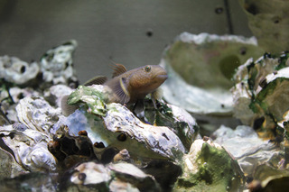 IMG_0179.jpg