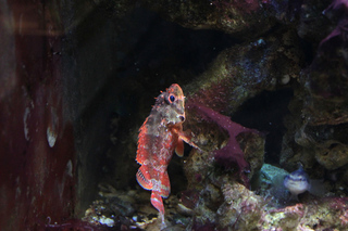 IMG_1335.jpg