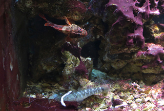IMG_1375.jpg