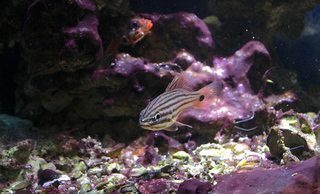 IMG_1401.jpg