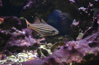 IMG_1404.jpg