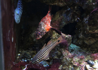 IMG_1446.jpg