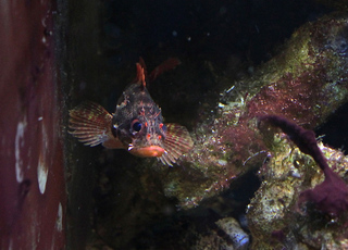 IMG_1479.jpg