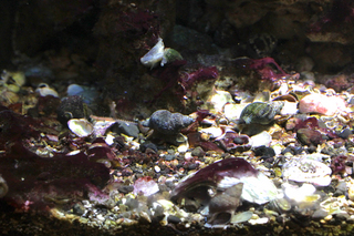 IMG_1665.jpg