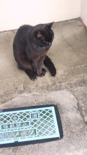 IMG_20190716_073800.jpg