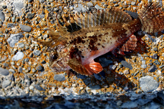 IMG_2527.jpg