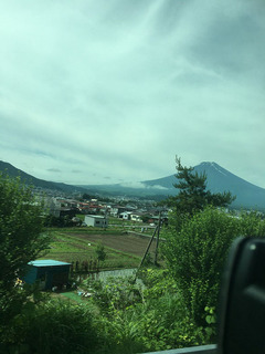 IMG_2682.jpg
