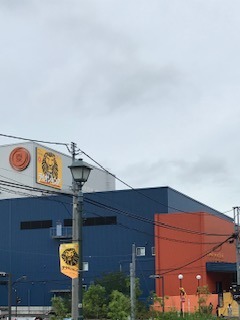 IMG_2903.jpg
