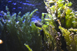 IMG_3364.jpg