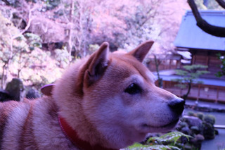 IMG_3408.jpeg