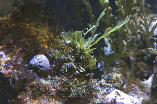 IMG_3456.jpg