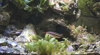 IMG_4176.jpg